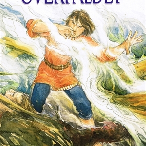 Overfaldet