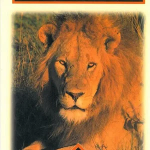 South africa - Odyssey guide