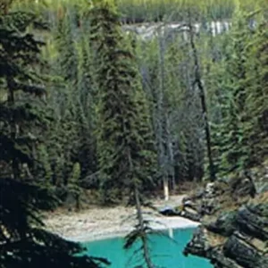 Revelstoke Park Region