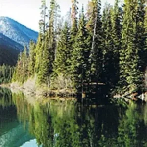 Strathcona Plateau
