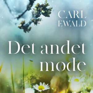 Det andet møde