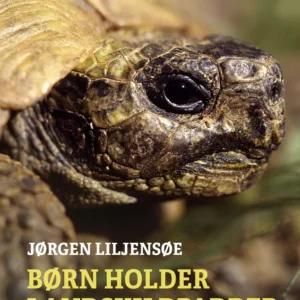 Børn holder landskildpadder