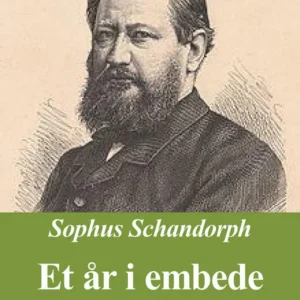 Et år i Embede