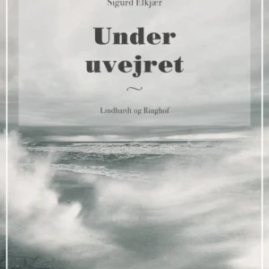 Under uvejret