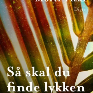 Så skal du finde lykken