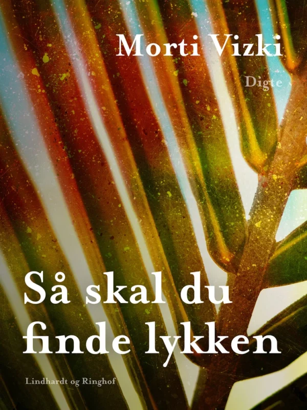 Så skal du finde lykken