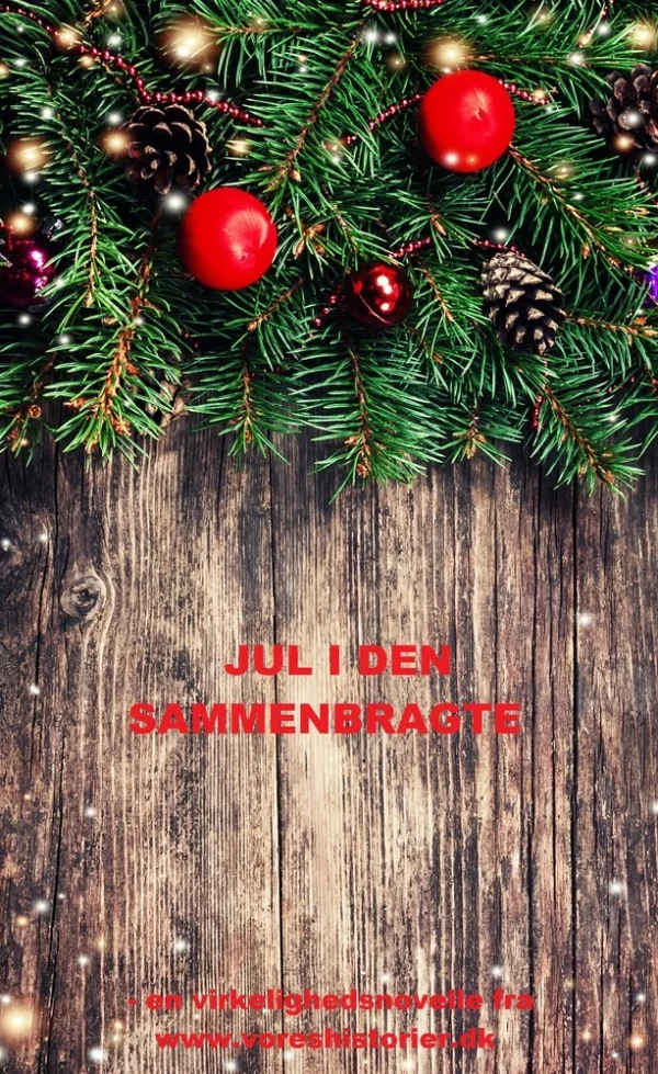 Jul i den sammenbragte