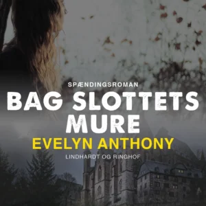Bag slottets mure