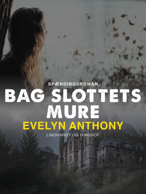 Bag slottets mure