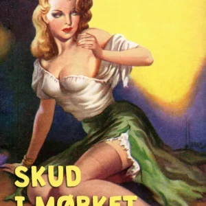 Skud i mørket
