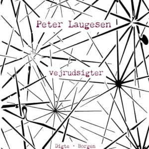 Vejrudsigter