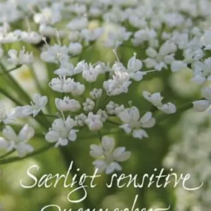 Særligt sensitive mennesker