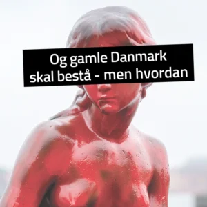 Og gamle Danmark skal bestå  -  men hvordan