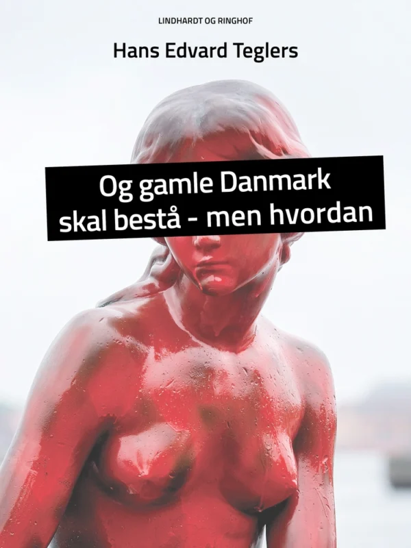 Og gamle Danmark skal bestå  -  men hvordan