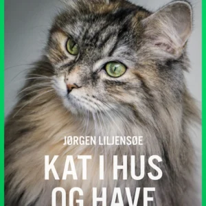 Kat i hus og have