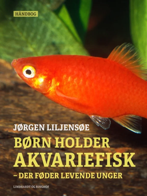 Børn holder akvariefisk  -  der føder levende unger