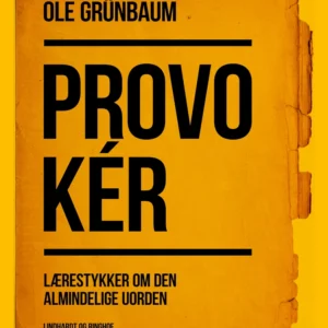Provokér: Lærestykker om den almindelige uorden