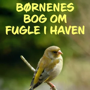 Børnenes bog om fugle i haven