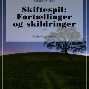 Skiftespil: Fortællinger og skildringer