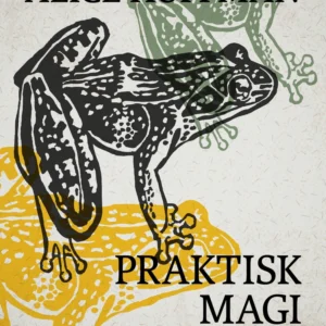 Praktisk magi