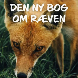 Den ny bog om ræven