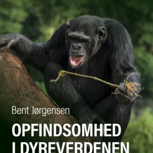 Opfindsomhed i dyreverdenen
