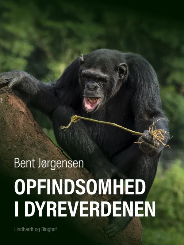 Opfindsomhed i dyreverdenen