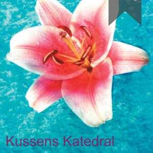 Kussens Katedral