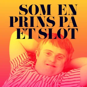 Som en prins på et slot