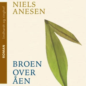 Broen over åen