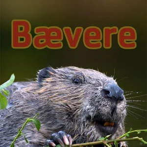 Bævere
