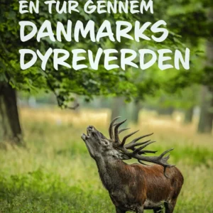 En tur gennem Danmarks dyreverden