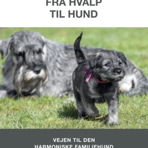Fra hvalp til hund
