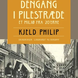 Dengang i Pilestræde. Et miljø fra 20 erne