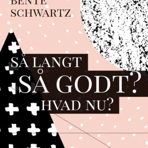 Så langt - Så godt? Hvad nu?