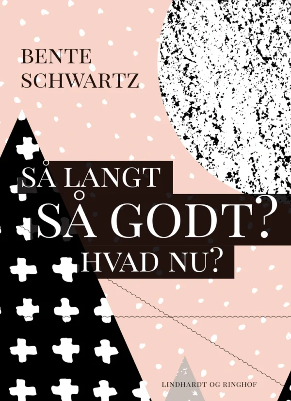 Så langt - Så godt? Hvad nu?