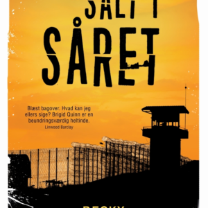 Salt i såret