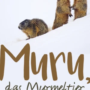 Murru, das Murmeltier