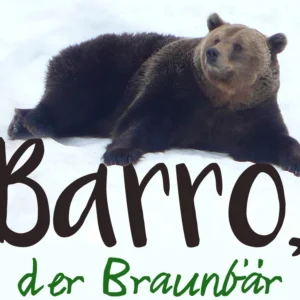 Barro, der Braunbär