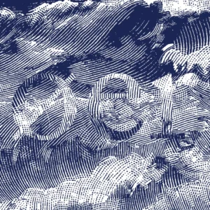 Øer