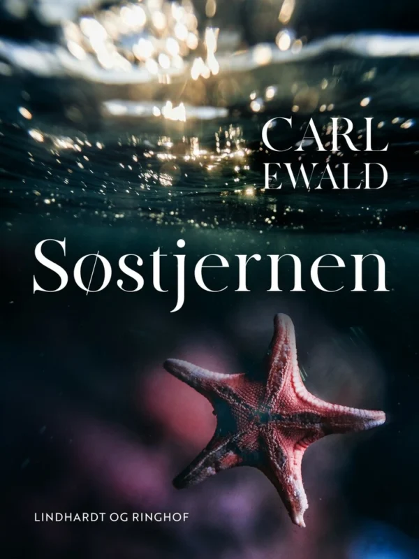 Søstjernen
