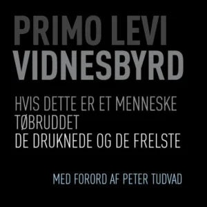 Vidnesbyrd