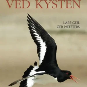 FUGLE VED KYSTEN