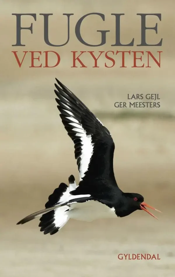 FUGLE VED KYSTEN
