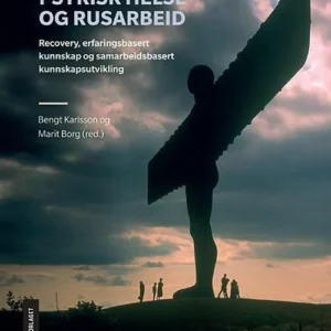 Perspektiver på psykisk helse- og rusarbeid : recovery, erfaringsbasert kunnskap og samarbeidsbasert kunnskapsutvikling