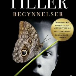 Begynnelser : roman