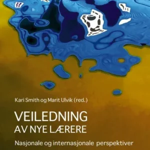 Veiledning av nye lærere : nasjonale og internasjonale perspektiver