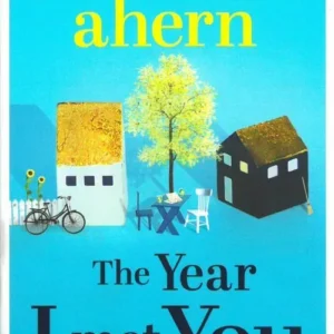 The Year I Met You