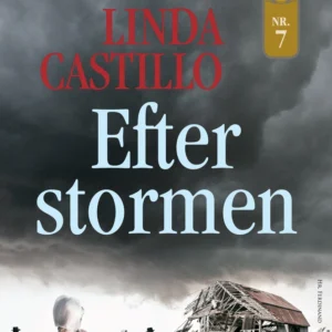 Efter stormen