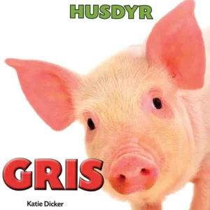 HUSDYR: Gris